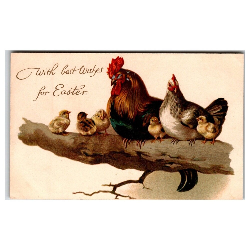 Vintage Easter Postcard Rooster Hen Chicks Ernest Nister E. P. Dutton Germany